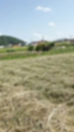 MAH0104612-560x315 1.png