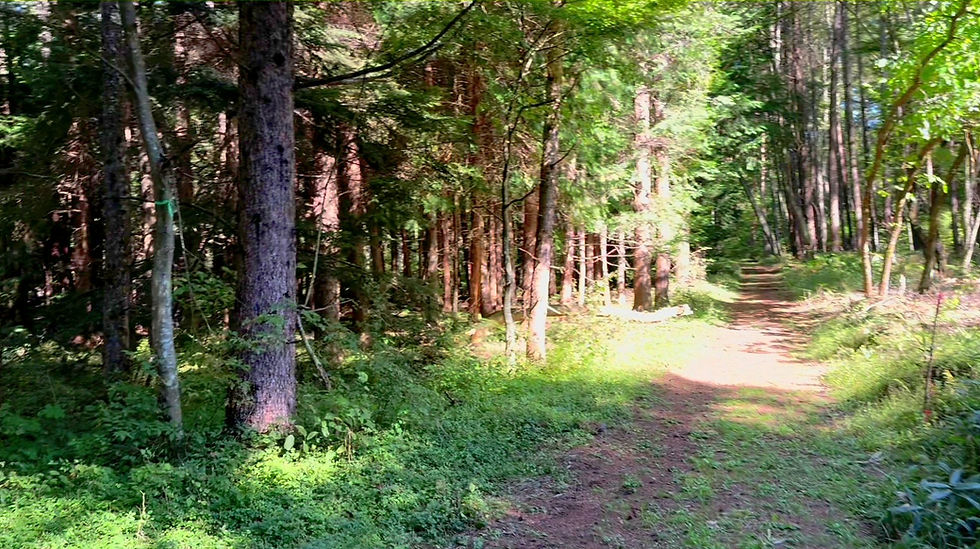 MAH0104612-560x315 1.png