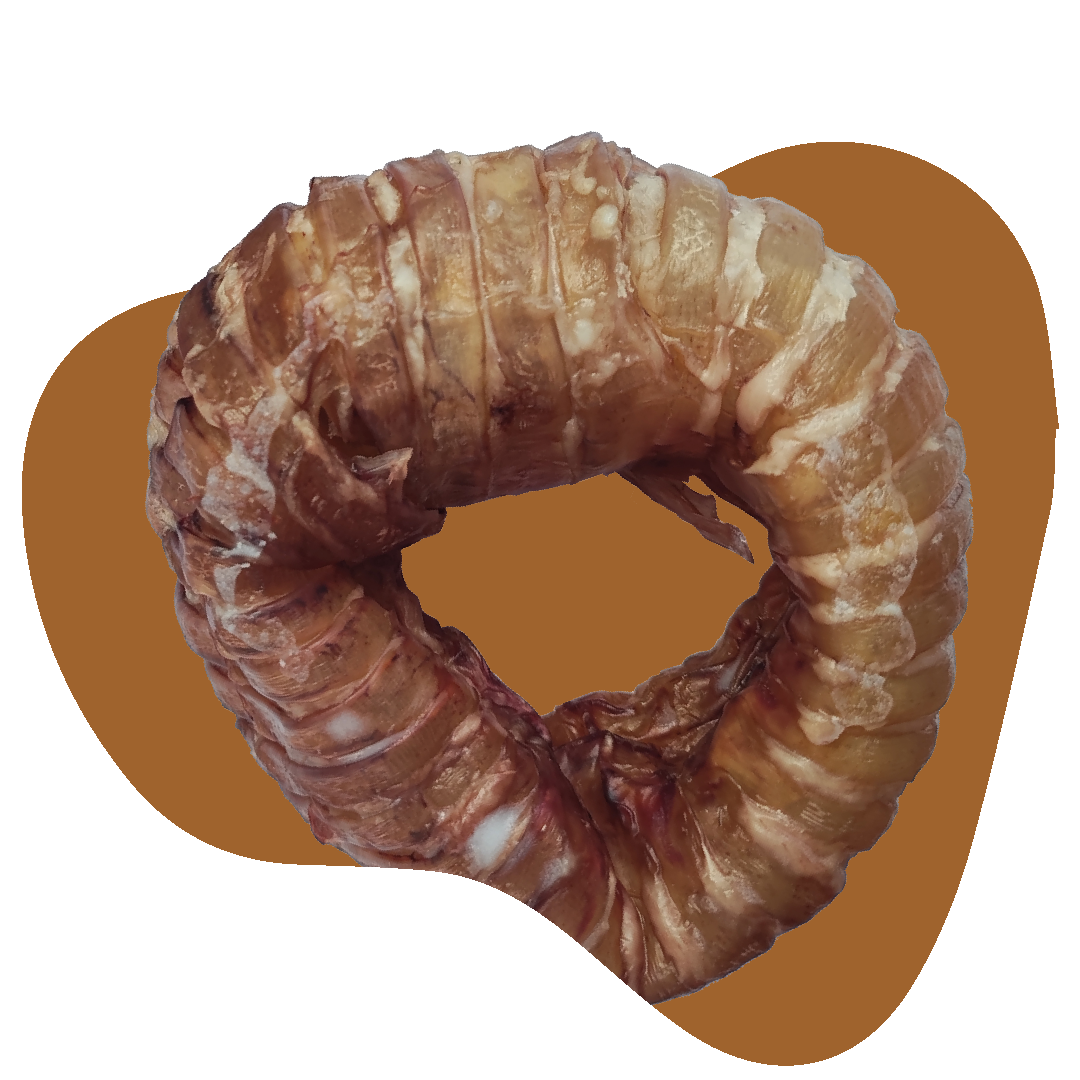 Dona de Tráquea de Res