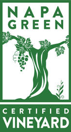 Napa Green Vineyard_new logo.jpeg