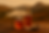 CF9E2BE9-3D71-4DCA-8AEC-09530865AF82.png