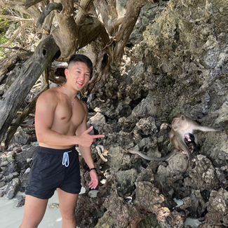 男性と動物