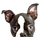 Peeping Puppy