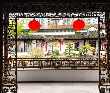 HAPPY LUNAR NEW YEAR — Lucky rabbits, goji berries and all things red