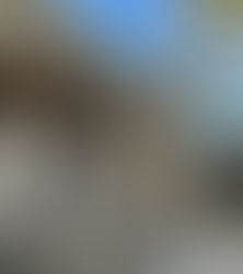 Exteror of boutique hotel Rosemead House in Victoria, BC