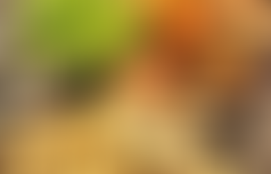 foraging wild foods on Vancouver Island