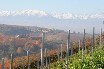 Touring food and wine regions of Piedmont