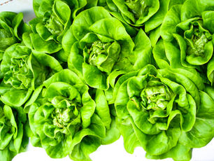 WASTE NOT: Go green and reduce food waste by up-cycling your leftovers