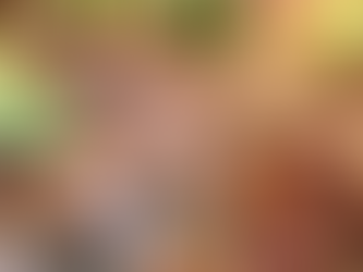 Lamb stew wioth leeks and mushrooms