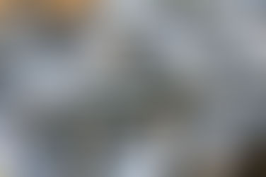 fresh herring is for sale at the FHKWC charity event Jan. 10, 2026