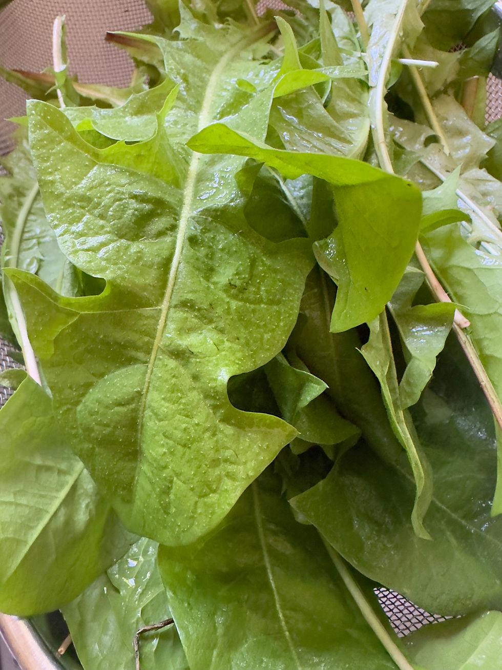 The Dandelion is known as St. Brigid's flower