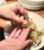 Stripping lightly cooked herring roe from tree boughs to eat