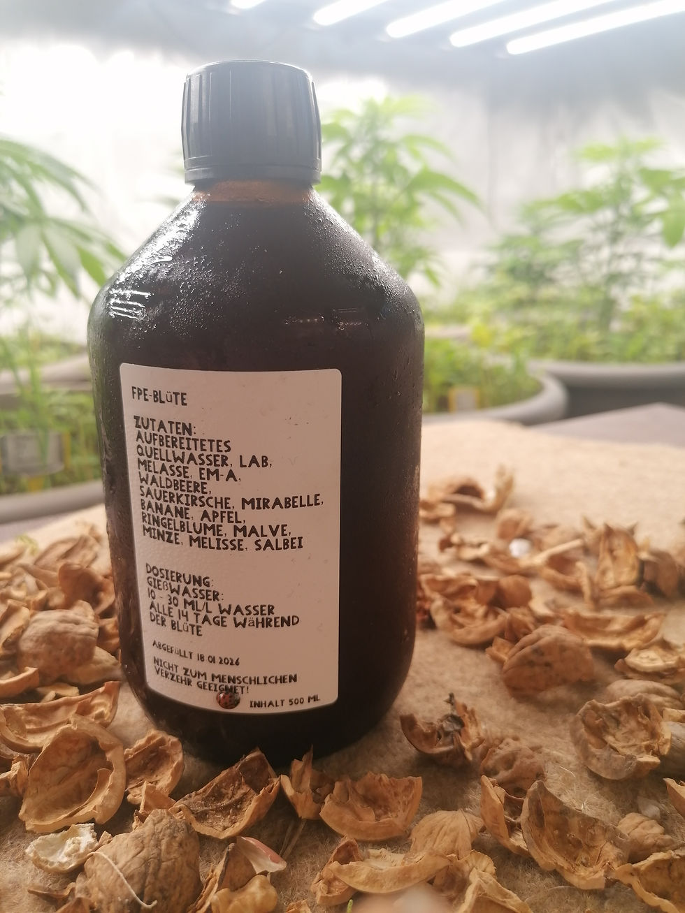 Miniaturbild: Extrakte aus dem Niemandsland - FPE Blüte - Cannabis
