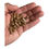 Thumbnail: MycoWellness Daily Supplement