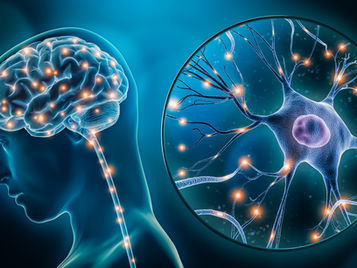 Why Add Niacin to Neurogenesis Microdosing Capsules?