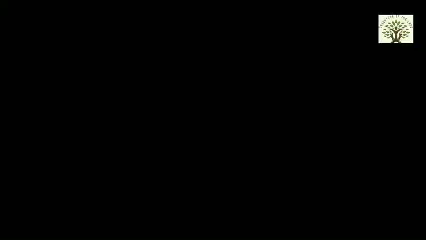 WhatsApp Video 2026-03-30 at 18.39.46.mp4