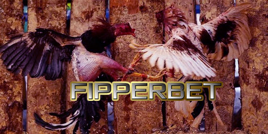 Aduan Ayam S128