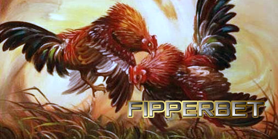 Aduan ayam online