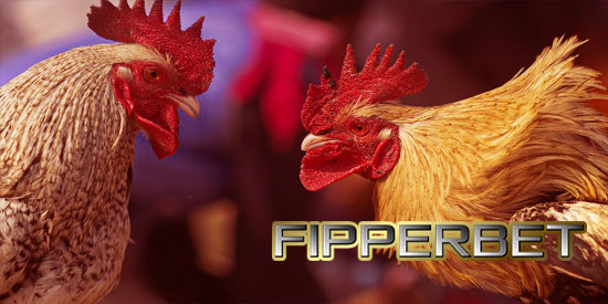 Aduan ayam s128