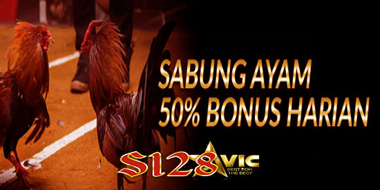 Login s128