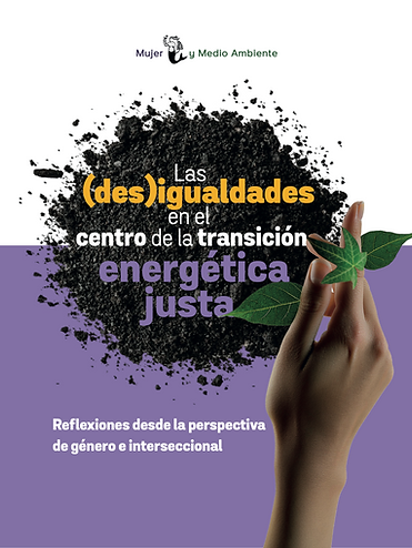 Portada Las  en el (des)igualdades centro de la transición.png