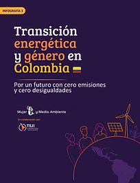 Infografía 3 Transición energética y género en Colombia .png