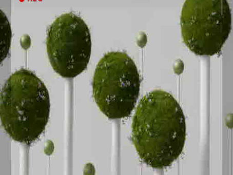 성인용품몰 모습을 드러내지