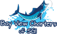 Bay View Web logo with clear background.png