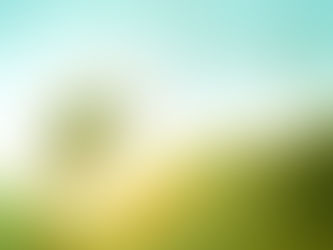 10 Questions for Reflection and Growth