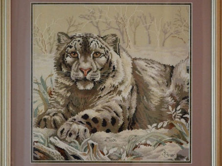 The Snow Leopard