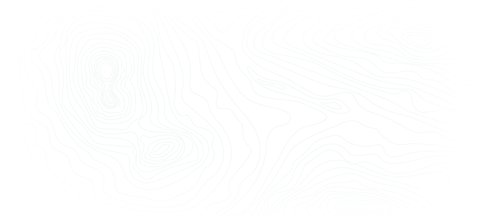 shape-1 (4).png