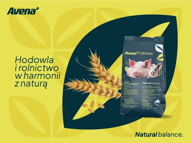 1_avena-post.webp