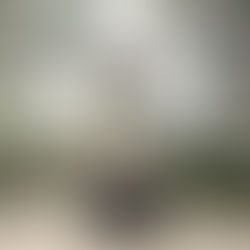 Curso de "MEDITAÇÃO DA ATENÇÃO PLENA" pelo Brasil