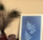 Handmade Botanical Art Print Duo of Ferns displayed in frame