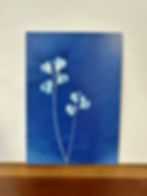 Mini Sweet Pea Cyanotype Print in A6 size, ft. handmade botanical artwork created with homegrown sweet pea flowers Front