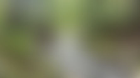 秋へ向けて