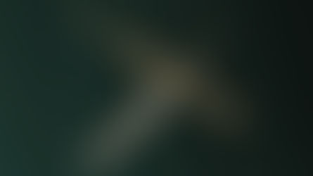 New Swan Pendant Lamp -Wing