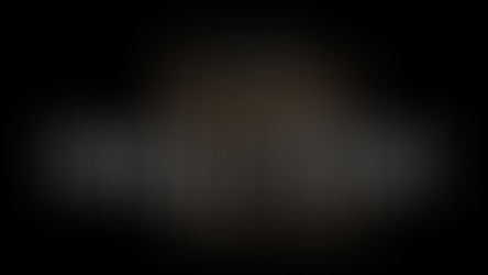 Maison Diez Company - The Light Report 2019