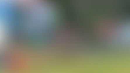 夏祭りとお盆休暇のお知らせ