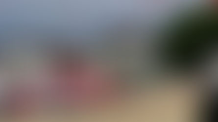 幼稚園運動会と阿蘇旅行