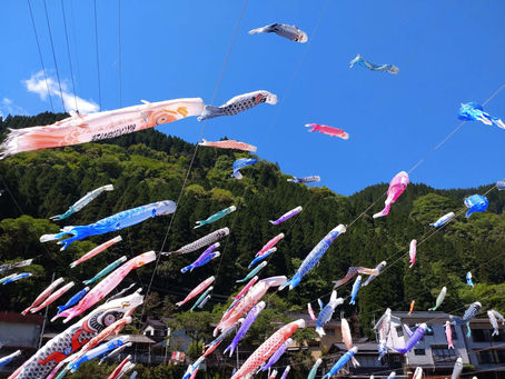 杖立温泉鯉のぼり祭り