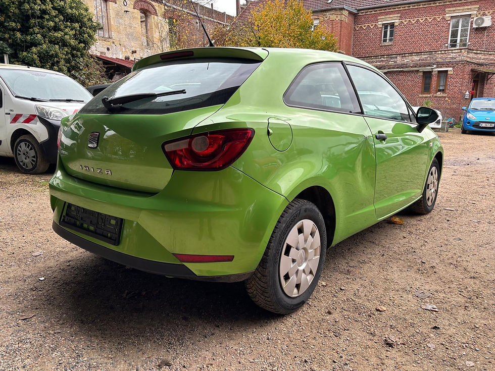 Miniature : Seat Ibiza 1.4 Reference Salsa