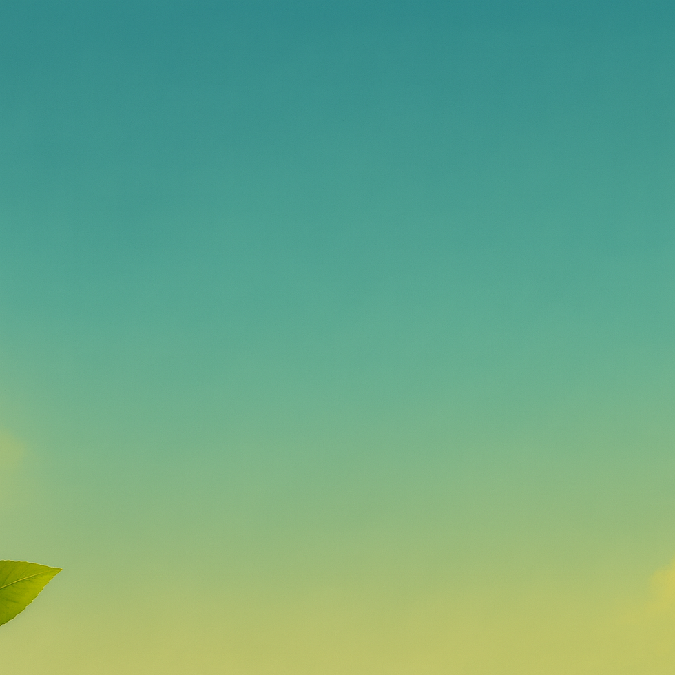 ChatGPT Image 8 ott 2025, 12_52_28.png