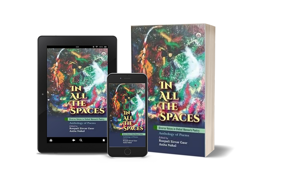 In All The Spaces by Anita Nahal 03