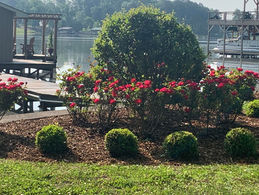 The Cherokee Rose Garden Club Yard of Month; May 2022