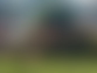 The Cherokee Rose Garden Club Yard of Month; May 2022