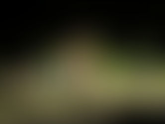 Proud Moment for the Children of Fairview Methodist Church Friday Dec. 9