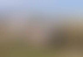 A Plane Crashes in Calhoun, Georgia on Saturday