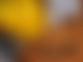 Protect Yourself from Home Repair Fraud