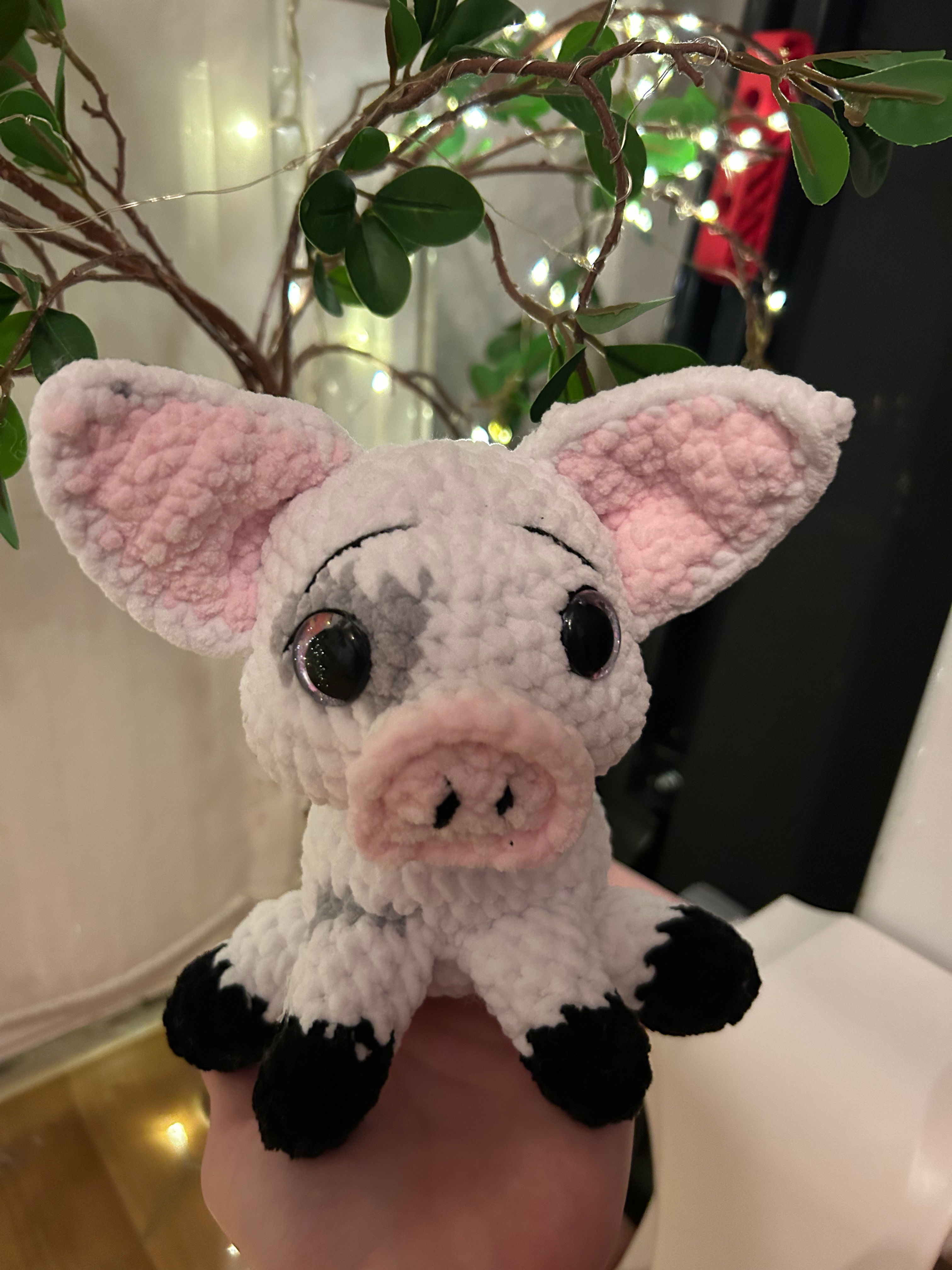 Schweinchen 🐷 Pia 🤍